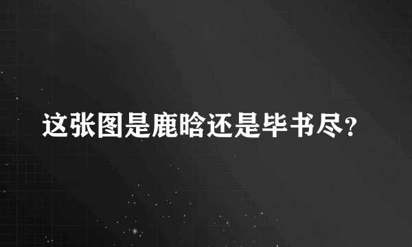 这张图是鹿晗还是毕书尽？