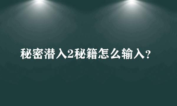 秘密潜入2秘籍怎么输入？