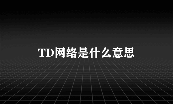 TD网络是什么意思