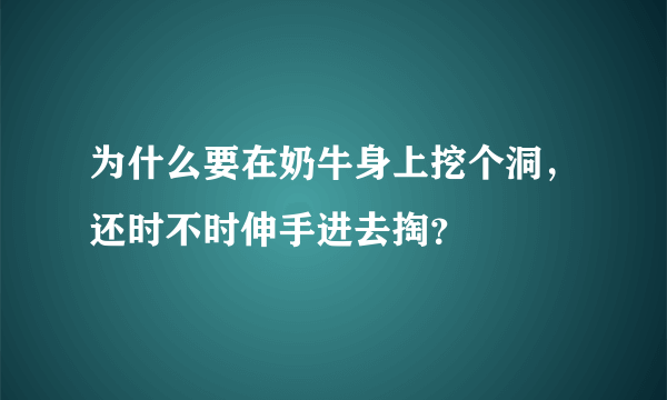 为什么要在奶牛身上挖个洞，还时不时伸手进去掏？