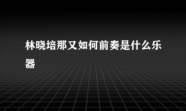 林晓培那又如何前奏是什么乐器