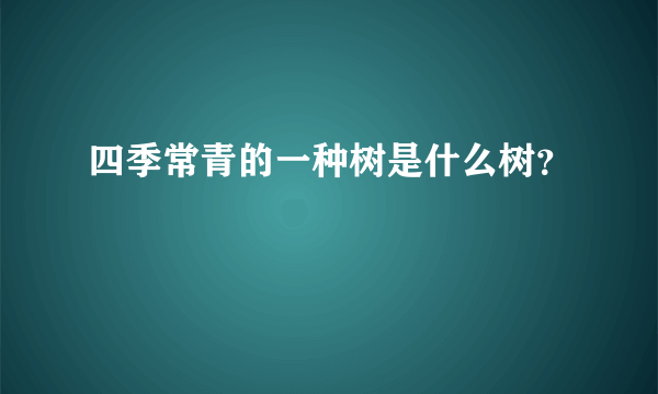 四季常青的一种树是什么树？