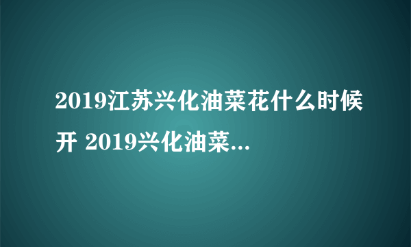 2019江苏兴化油菜花什么时候开 2019兴化油菜花景点在哪里