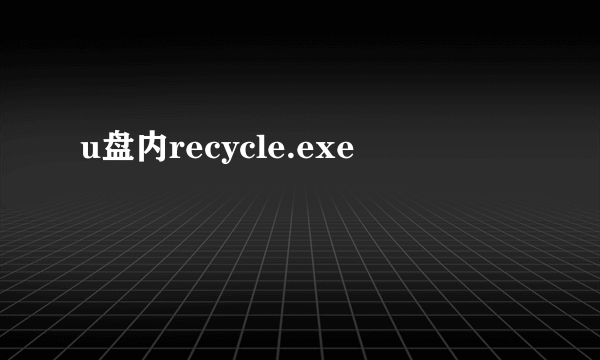 u盘内recycle.exe