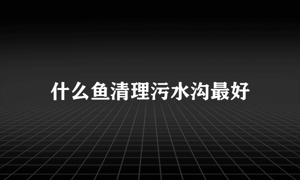 什么鱼清理污水沟最好