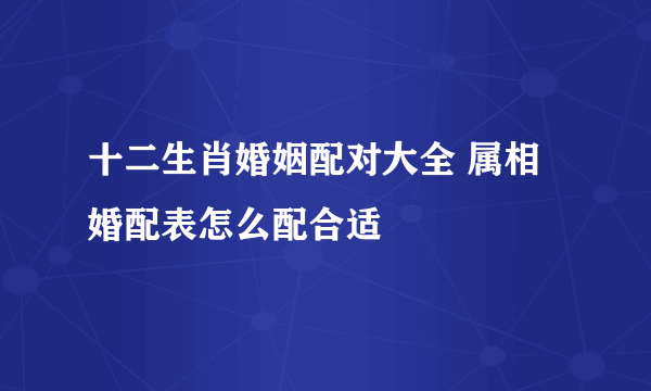 十二生肖婚姻配对大全 属相婚配表怎么配合适