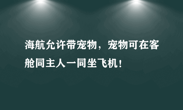 海航允许带宠物，宠物可在客舱同主人一同坐飞机！