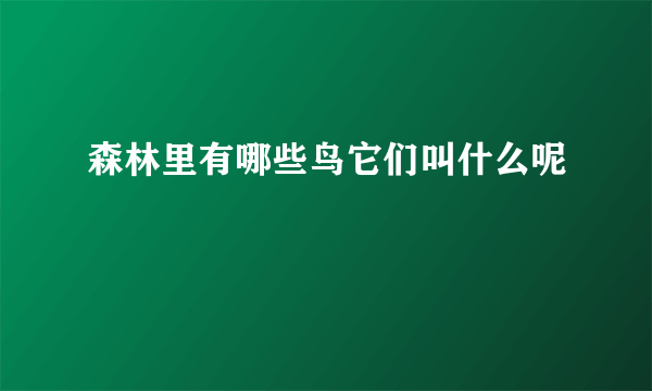 森林里有哪些鸟它们叫什么呢