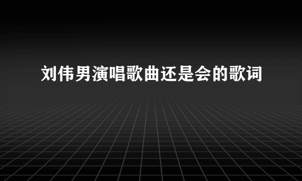 刘伟男演唱歌曲还是会的歌词