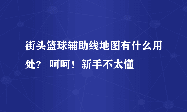 街头篮球辅助线地图有什么用处？ 呵呵！新手不太懂