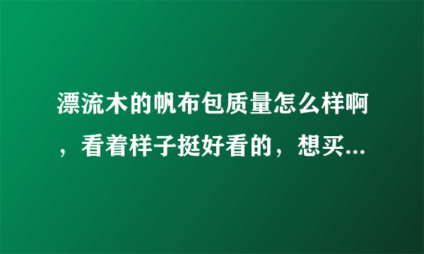 漂流木的帆布包质量怎么样啊，看着样子挺好看的，想买一个背，就是不知道质量如何？