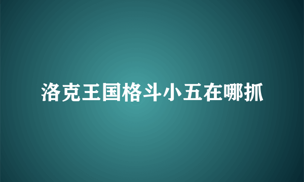 洛克王国格斗小五在哪抓