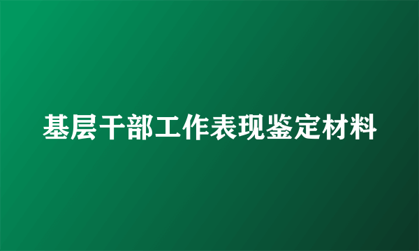 基层干部工作表现鉴定材料