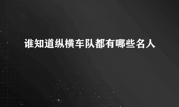 谁知道纵横车队都有哪些名人