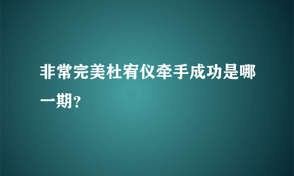 非常完美杜宥仪牵手成功是哪一期？