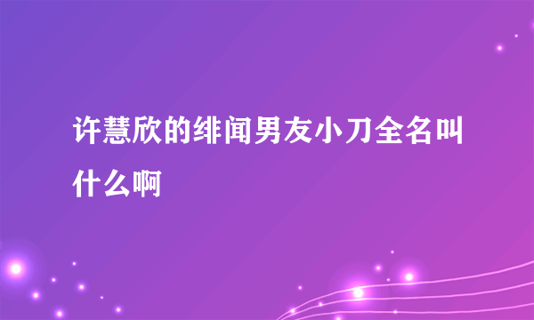 许慧欣的绯闻男友小刀全名叫什么啊