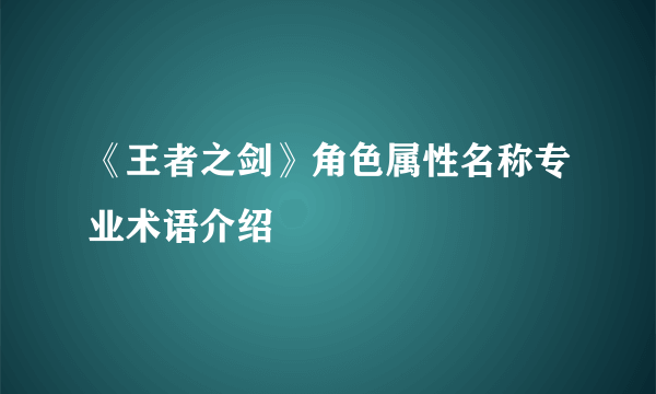 《王者之剑》角色属性名称专业术语介绍