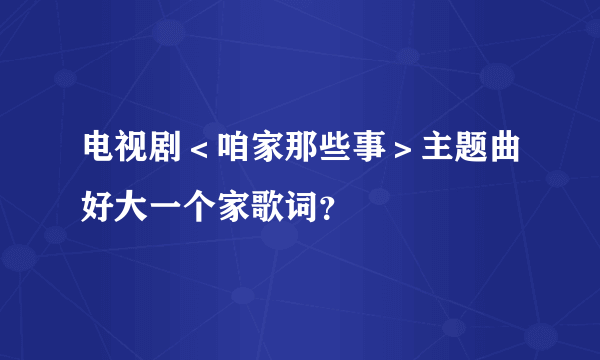 电视剧＜咱家那些事＞主题曲好大一个家歌词？