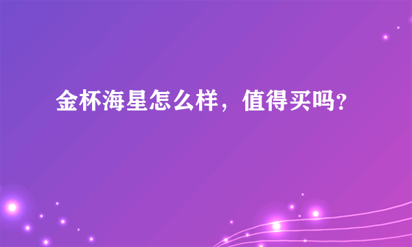 金杯海星怎么样，值得买吗？