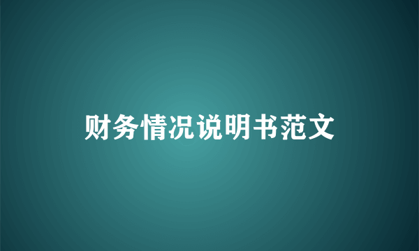 财务情况说明书范文