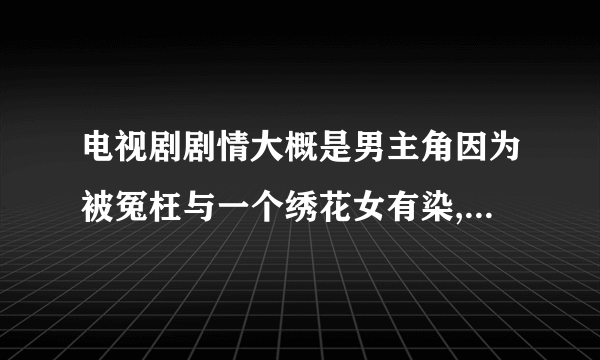 电视剧剧情大概是男主角因为被冤枉与一个绣花女有染,女主角为救他进皇宫找太后,结局是绣花女出家了。。。