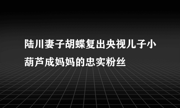 陆川妻子胡蝶复出央视儿子小葫芦成妈妈的忠实粉丝