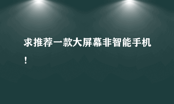 求推荐一款大屏幕非智能手机！