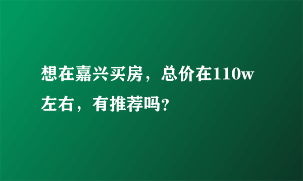 想在嘉兴买房，总价在110w左右，有推荐吗？