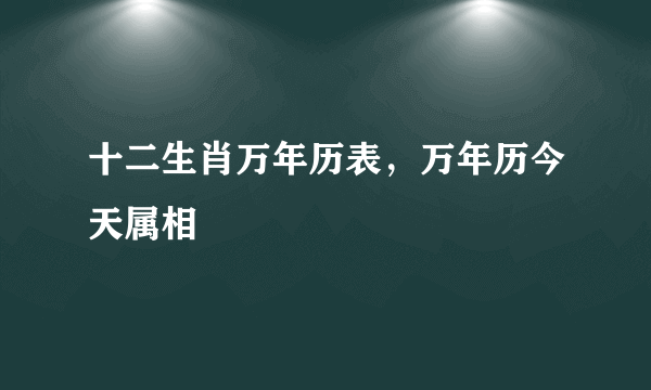 十二生肖万年历表，万年历今天属相