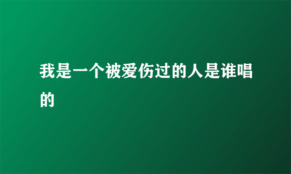 我是一个被爱伤过的人是谁唱的