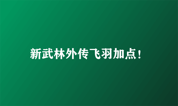 新武林外传飞羽加点！