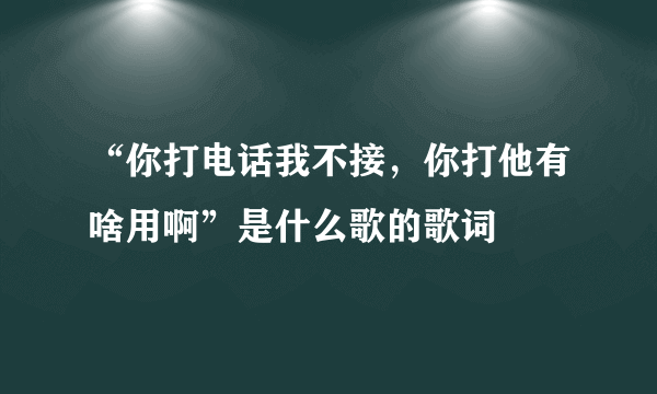 “你打电话我不接，你打他有啥用啊”是什么歌的歌词