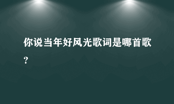 你说当年好风光歌词是哪首歌？