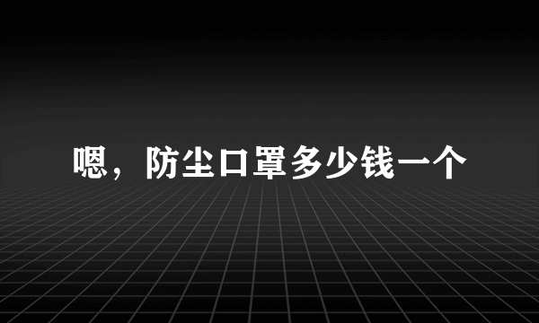 嗯，防尘口罩多少钱一个