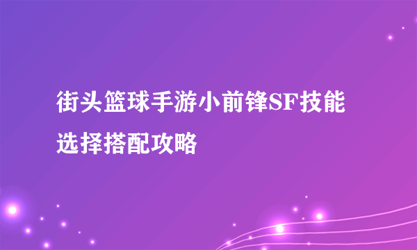 街头篮球手游小前锋SF技能选择搭配攻略