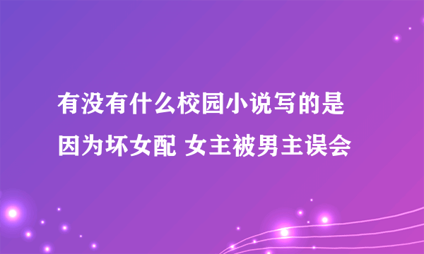 有没有什么校园小说写的是 因为坏女配 女主被男主误会