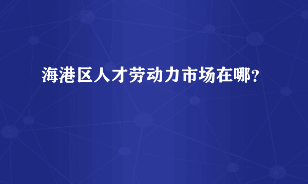 海港区人才劳动力市场在哪？