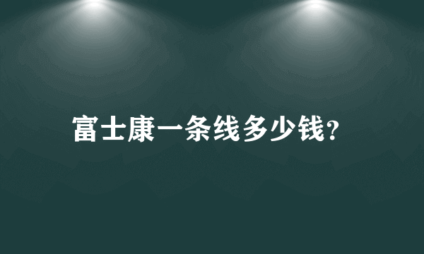 富士康一条线多少钱？