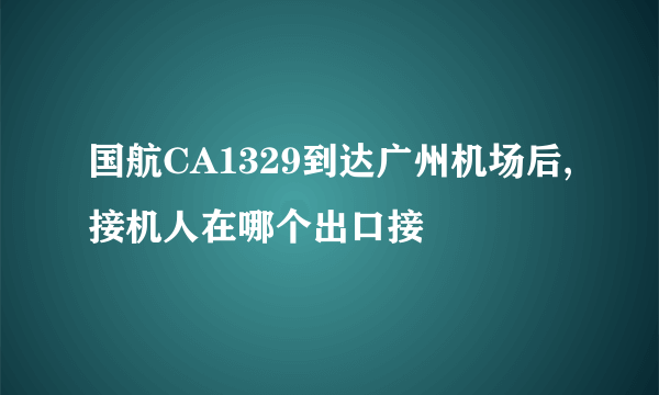 国航CA1329到达广州机场后,接机人在哪个出口接