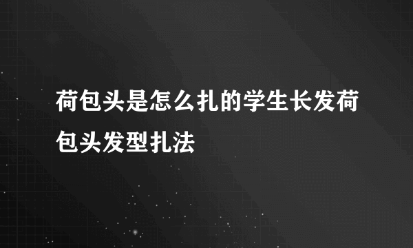 荷包头是怎么扎的学生长发荷包头发型扎法