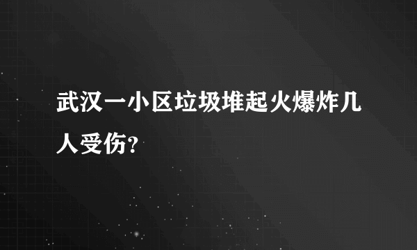 武汉一小区垃圾堆起火爆炸几人受伤？