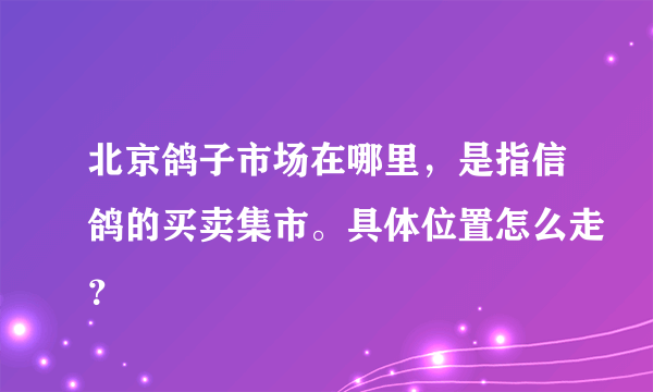 北京鸽子市场在哪里，是指信鸽的买卖集市。具体位置怎么走？