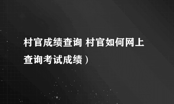 村官成绩查询 村官如何网上查询考试成绩）