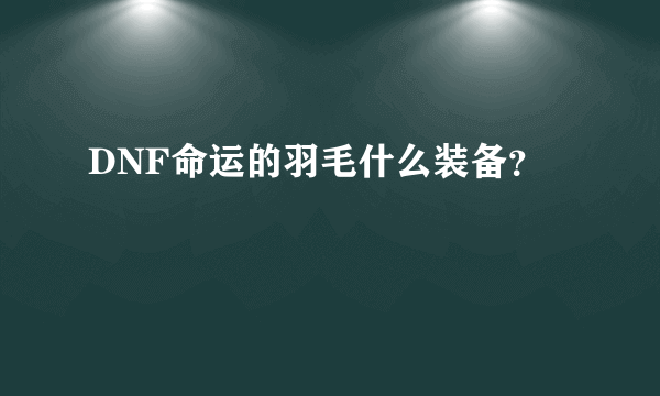 DNF命运的羽毛什么装备？