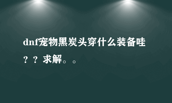 dnf宠物黑炭头穿什么装备哇？？求解。。