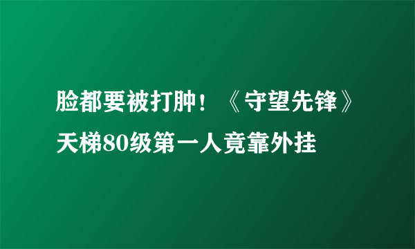 脸都要被打肿！《守望先锋》天梯80级第一人竟靠外挂