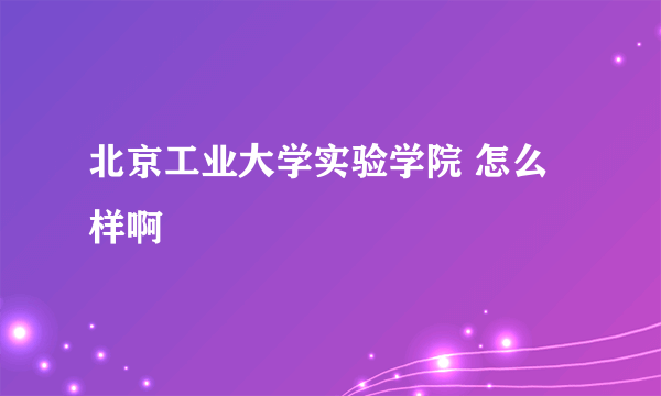 北京工业大学实验学院 怎么样啊