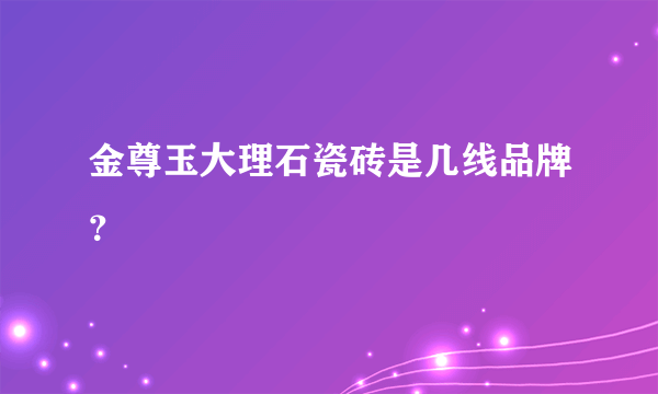 金尊玉大理石瓷砖是几线品牌？