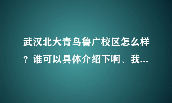 武汉北大青鸟鲁广校区怎么样？谁可以具体介绍下啊、我想去看下呢~