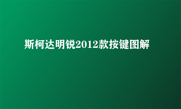 斯柯达明锐2012款按键图解